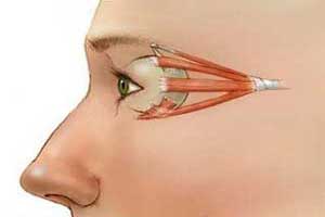 تمریناتی برای تقویت عضلات چشم