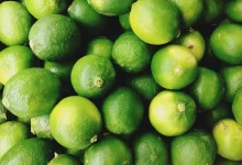 آبلیمو و واژن