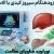 تشخیص زودهنگام سیروز کبدی با الاستوگرافی؛ پیشگیری قبل از رسیدن به نقطه بی‌بازگشت